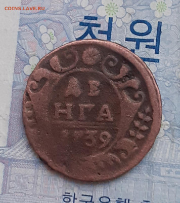 денга 1739. До 2.01.25. - 20241228_091624