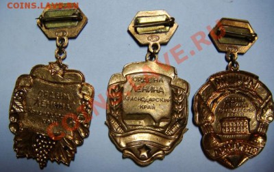 Лучший садовод, животновод и свекловод - 3 тяжелых знака - DSC06607-м