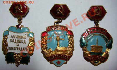 Лучший садовод, животновод и свекловод - 3 тяжелых знака - DSC06606-м
