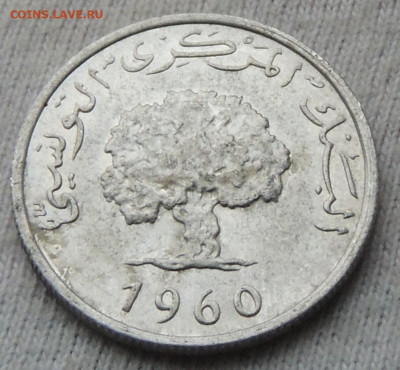 Тунис 1 миллим 1960 до 3.01.2025 - Тунис 1 миллим 60 .JPG