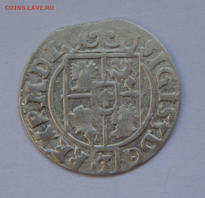 Полторак 1623 года Польша - DSCN9955.JPG