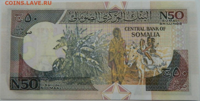 Сомали 50 шиллингов 1991 г. С рубля! до 04.01.25 - DSCN3759.JPG