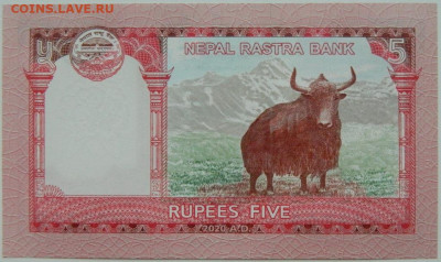 Непал 5 рупий 2020 г. С рубля! до 05.01.25 - DSCN3796.JPG