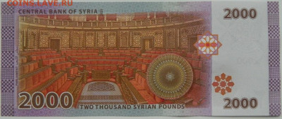 Сирия 2000 фунтов 2021 г. (Асад) С рубля! до 05.01.25 - DSCN3805.JPG