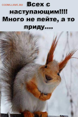 С Наступающим Новым Годом !!! - Белка