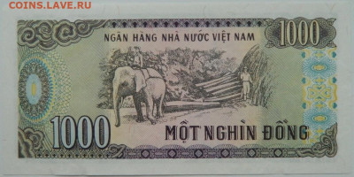 Вьетнам 1000 донгов 1988 г. С рубля! 08.01.25 - DSCN3837.JPG