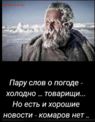 перекличка городов по температуре - Комаров нет