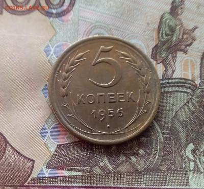 5 копеек 1956. До 09.01.25 в 22.00 - 20250104_173924
