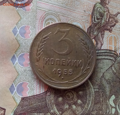 3 копейки 1955. До 09.01.25 в 22.00 - 20250104_200245