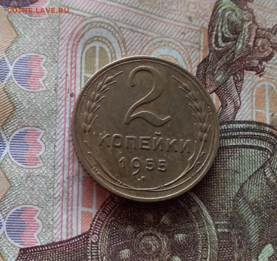 2 копейки 1955. До 09.01.25 в 22.00 - 20250104_215418