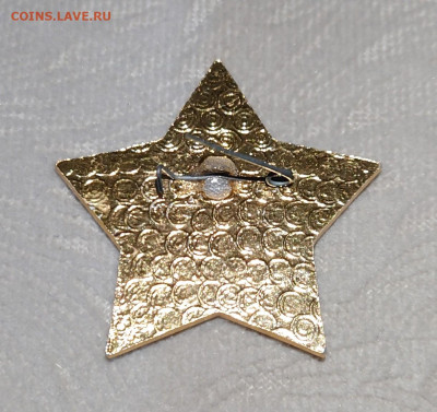 Пионер "за отличие" - DSC_0002~2.JPG