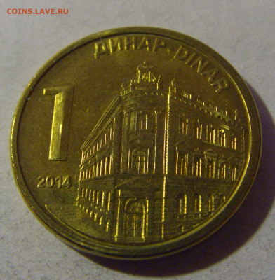 1 динар 2014 Сербия №1 12.01.25 22:00 М - CIMG3790.JPG