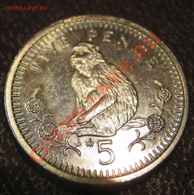 Гибралтар 5 пенсов 1990  до    7.02.2012.     22-30 - IMG_4068.JPG