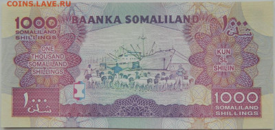 Сомалиленд 1000 шиллингов 2012 г.  С рубля!  до 12.01.25 - DSCN3917.JPG
