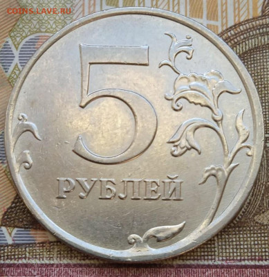 Полные расколы - 8шт. - photo_2025-01-04_13-24-18