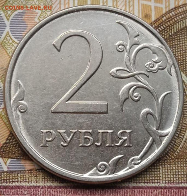 Сколы 2р.2016г. - 9шт. - photo_2025-01-04_13-54-54