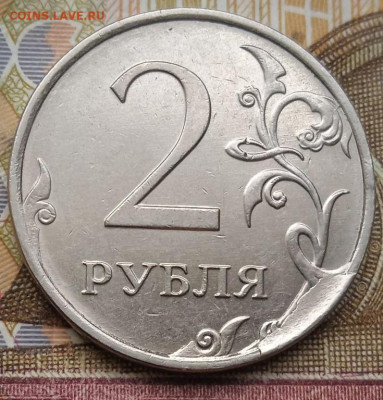 Сколы 2р.2016г. - 9шт. - photo_2025-01-04_13-50-48