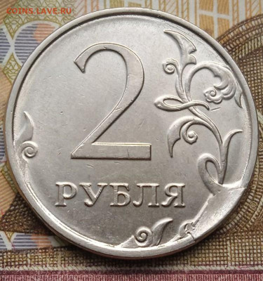 Сколы 2р.2016г. - 9шт. - photo_2025-01-04_13-50-27