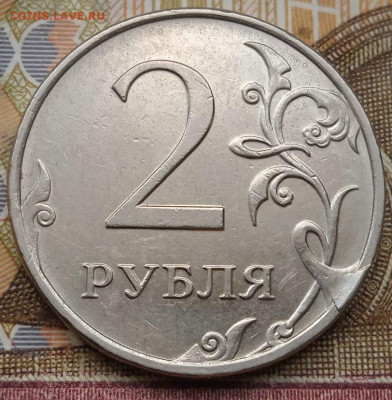 Сколы 2р.2016г. - 9шт. - photo_2025-01-04_13-49-38