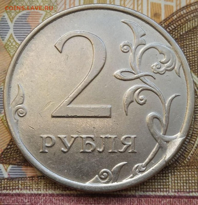 Сколы 2р.2016г. - 9шт. - photo_2025-01-04_13-48-43