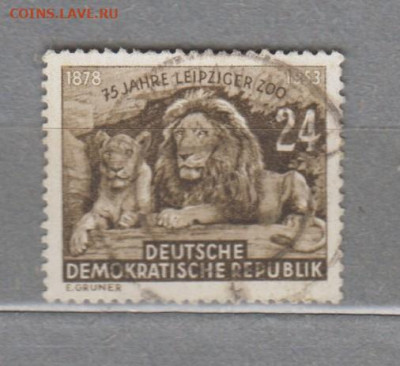 ГДР 1953 зоопар лев 1м до 14 01 - 17ж