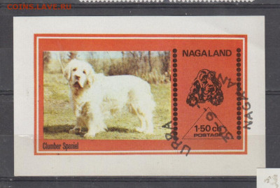 NAGALAND собаки блок до 14 01 - 44