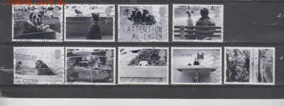 Великобритания 2010 кошки собаки 9м до 14 01 - 51