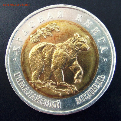КК 10 руб. Медведь до 15.01.22:00 - 1 ги мед.JPG