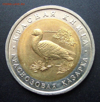 КК 10 руб. Казарка до 15.01.22:00 - 1 к ка.JPG