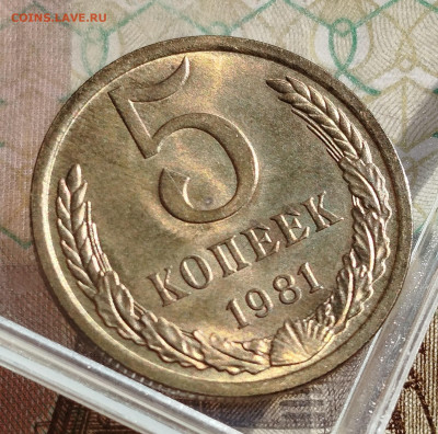 5 копеек 1981 г.UNC - IMG_20250111_115750