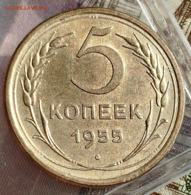 5 копеек 1955 г.UNC - IMG_20250111_120352
