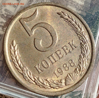 5 копеек 1988 г UNC - IMG_20250111_120538