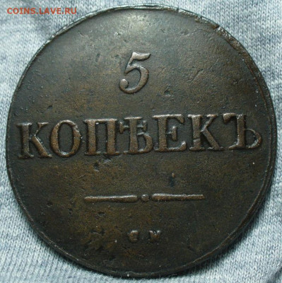 5 копеек 1831 года СМ До 14.01.25 в 22:00 МСК - CAF9DC1A-F086-4DA9-B331-24B87A7D66A3