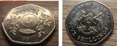 Уганда 5 шиллингов 1987 UNC c описанием до 19.01.25 - GridArt_20250114_185144444