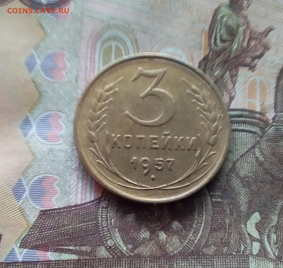 3 копейки 1957. До 19.01.25 в 22.00 - 20250114_213038