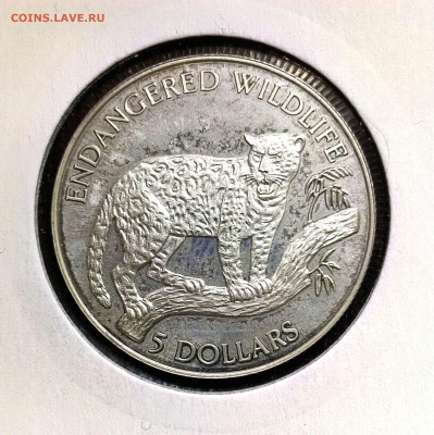 5 долларов Ниуэ 1992г.,Proof,до 18.01.2025г. 22:00 мск - 1001205159