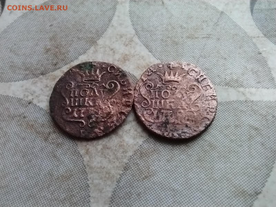 2 полушки сибирь до 20.01.2025 - 2пол (16)