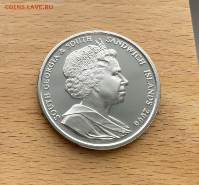 Крона Шайба Южная Георгия и Сандвичевы острова 2 фунта 2006 - krona_shajba_juzhnaja_georgija_i_sandvichevy_ostrova_2_funta_2006_serogolovyj_albatros_ptica_fauna (1)