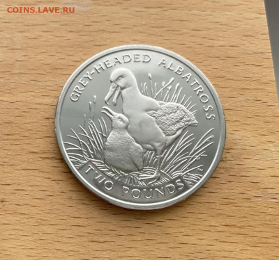 Крона Шайба Южная Георгия и Сандвичевы острова 2 фунта 2006 - krona_shajba_juzhnaja_georgija_i_sandvichevy_ostrova_2_funta_2006_serogolovyj_albatros_ptica_fauna