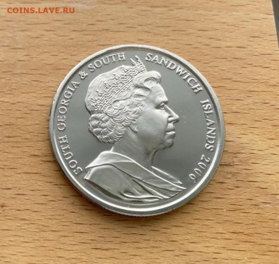 Крона Шайба Южная Георгия и Сандвичевы острова 2 фунта 2006 - krona_shajba_juzhnaja_georgija_i_sandvichevy_ostrova_2_funta_2006_khokhlatyj_pingvin_ptica_fauna (1)
