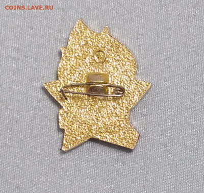 Пионерский знак За активную работу - 20250117_204135