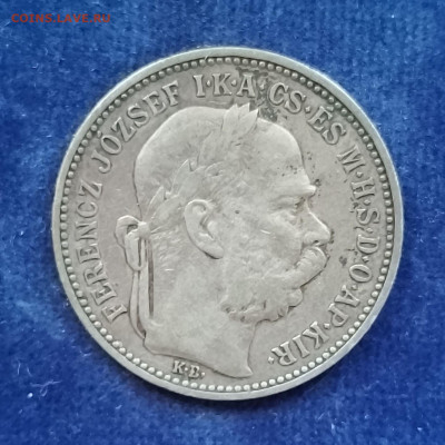Австро-Венгрия, 1 крона 1894, до 25.01.2025 - IMG_20250119_141316~2