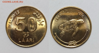 Мальдивы 50 лари 1995 года без обращения - 22.01 - IMG_20250115_193016