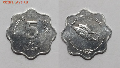 Мальдивы 5 лари 1984 года без обращения - 22.01 - IMG_20250115_193113