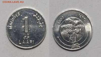 Мальдивы 1 лари 2002 года без обращения - 22.01 - IMG_20250115_193137