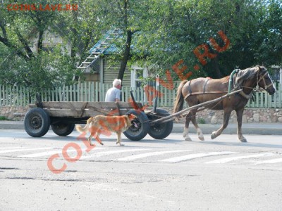 Кто на чем (ком) ездит? - мое авто 1