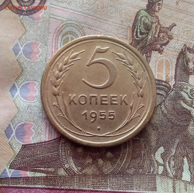 5 копеек 1955. До 26.01.25 в 22.00 - 20250121_172038