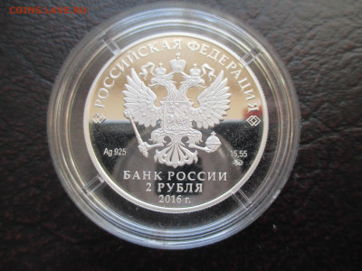 2р Манул - IMG_0023.JPG
