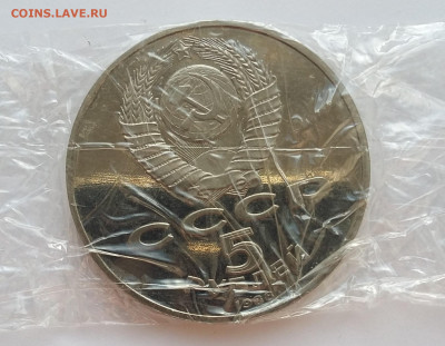 5р Памятник Петру1 - 20210417_065122