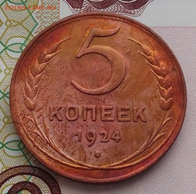 5 копеек 1924 до 29.01.25 в 22.00 - IMG_20250109_112815